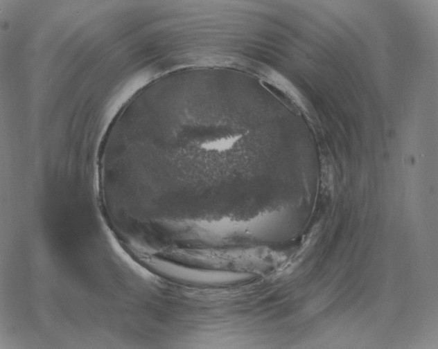 X0000068891095200605122027