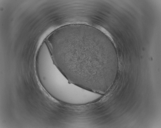 X0000068891096200605122027