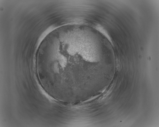 X0000068891099200605122027