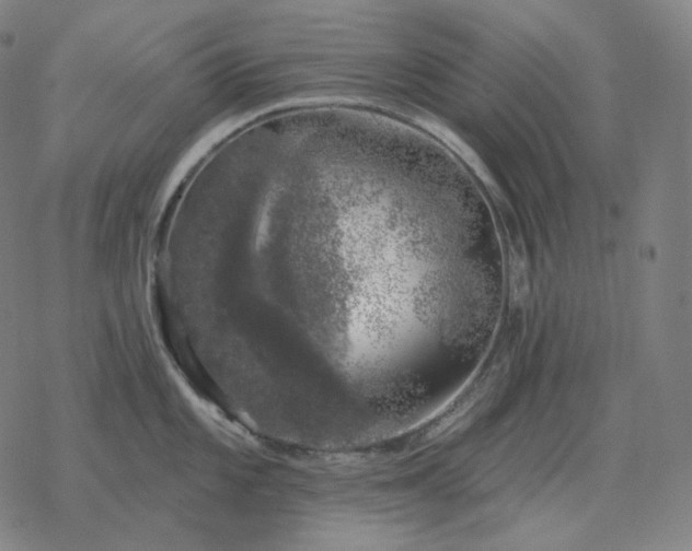 X0000068891101200605122027