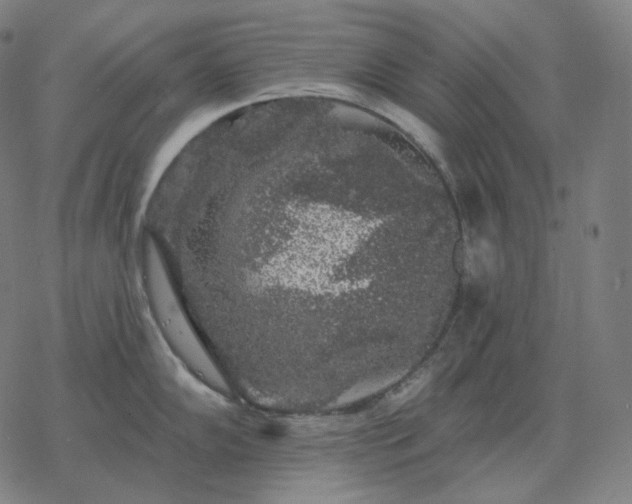 X0000068891102200605122027