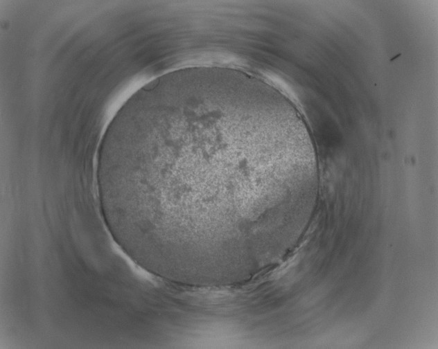 X0000068891103200605122027