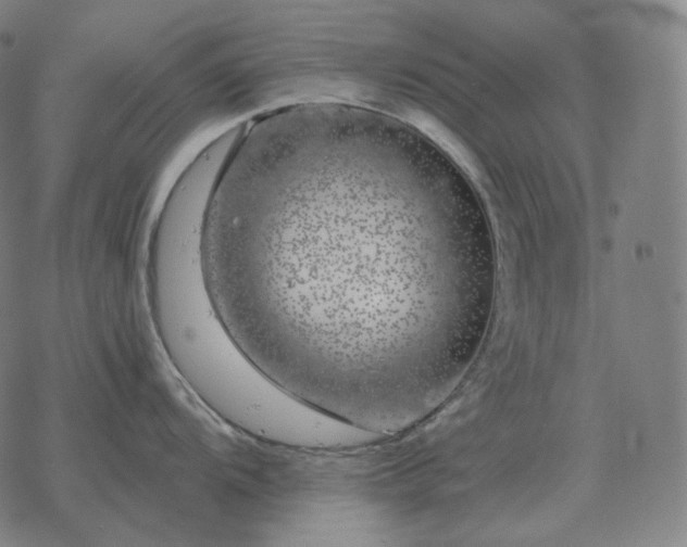 X0000068891104200605122027