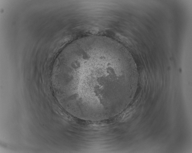 X0000068891105200605122026