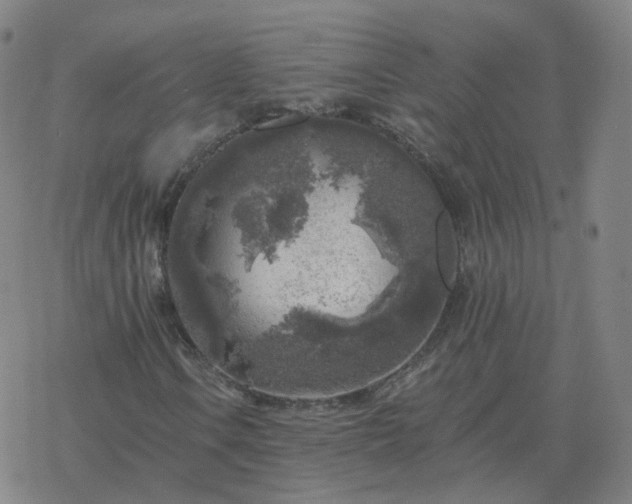 X0000068891106200605122026