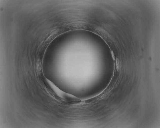 X0000068891107200605122027