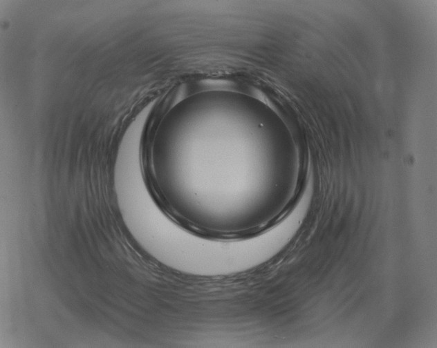 X0000068891108200605122027