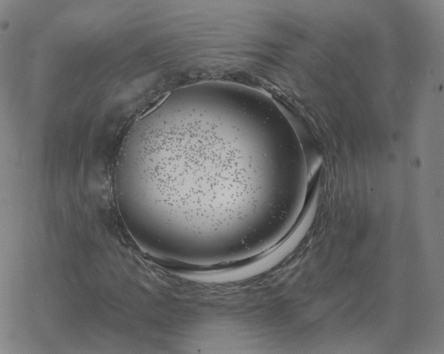 X0000068891109200605122027