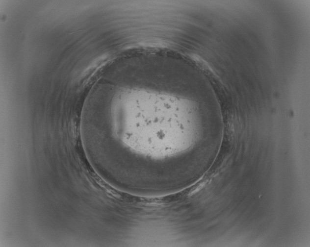 X0000068891110200605122027