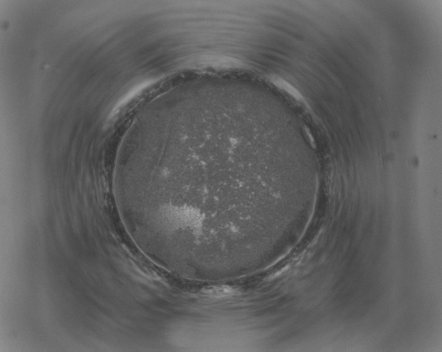 X0000068891112200605122027