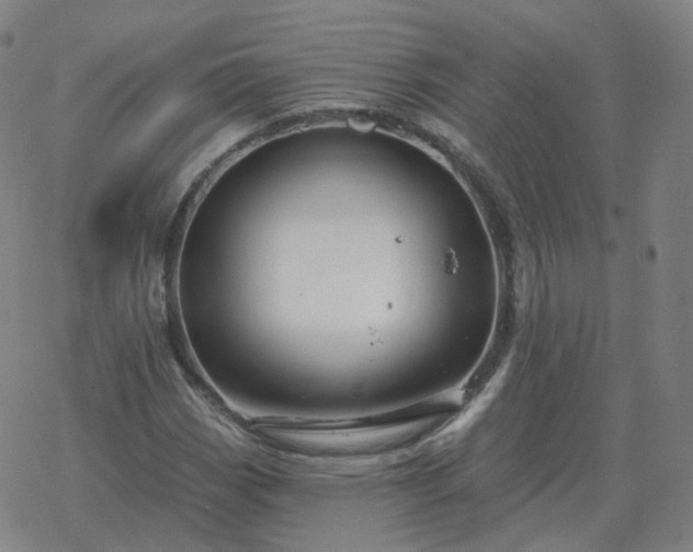 X0000068891113200605122027