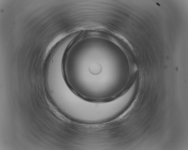 X0000068891114200605122027