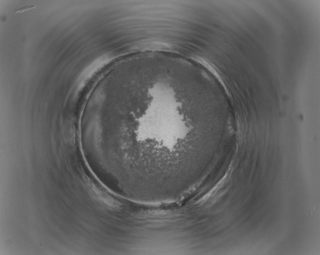 X0000068891115200605122027