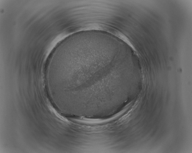 X0000068891116200605122027