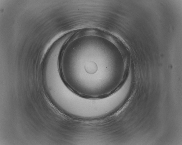 X0000068891118200605122027