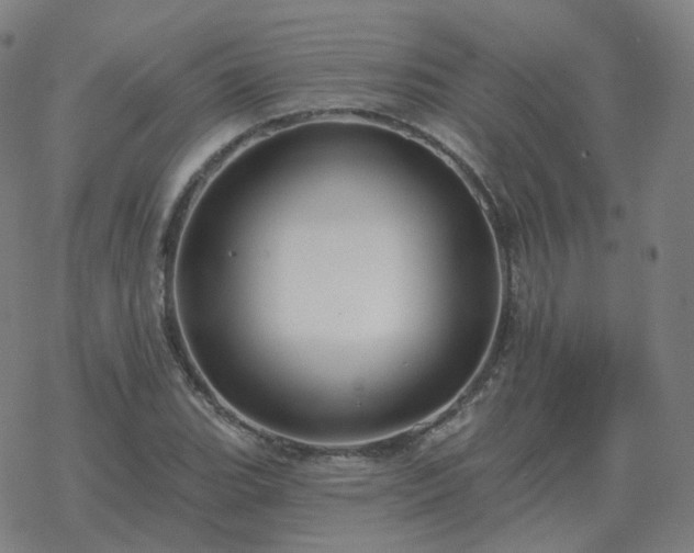 X0000068891119200605122027