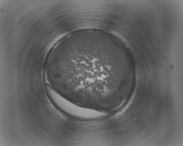 X0000068891121200605122027