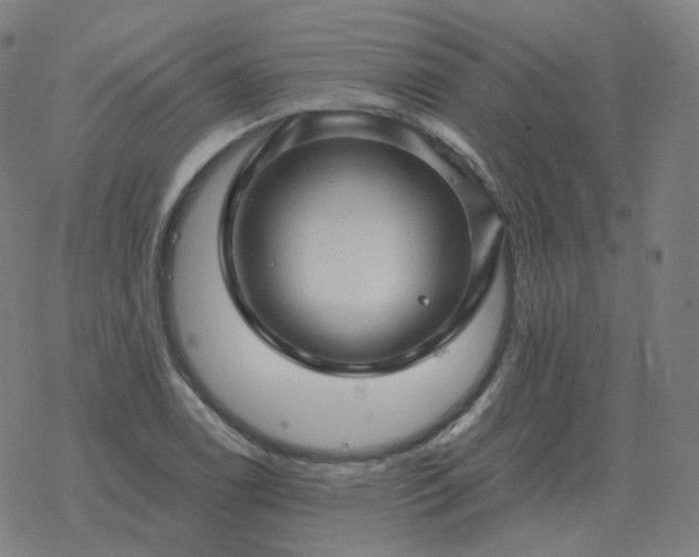 X0000068891122200605122027