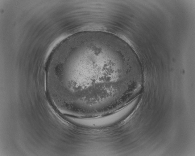 X0000068891123200605122027