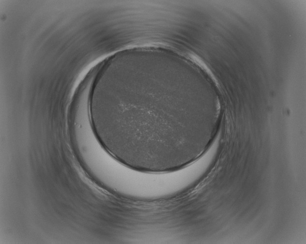 X0000068891124200605122027