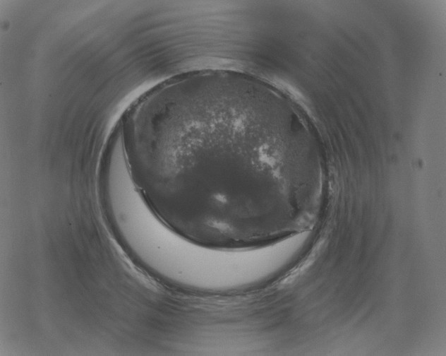 X0000068891125200605122027