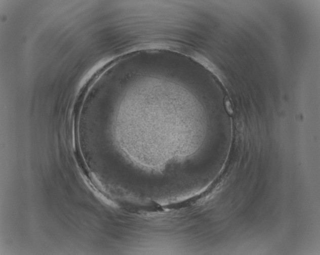 X0000068891127200605122027