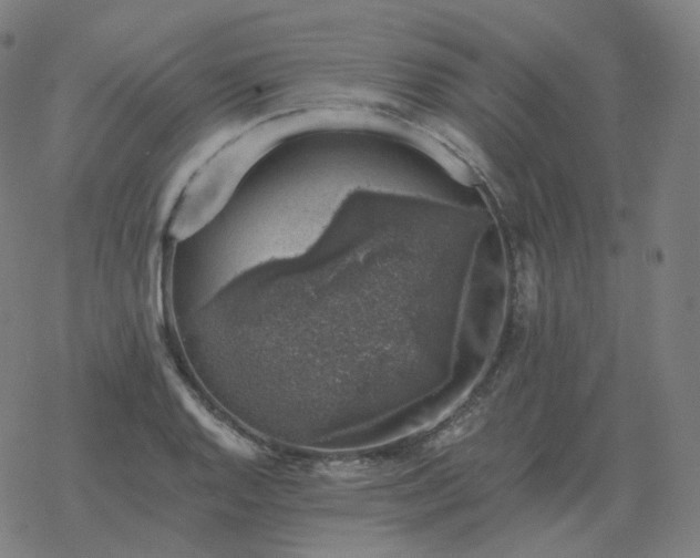 X0000068891128200605122027