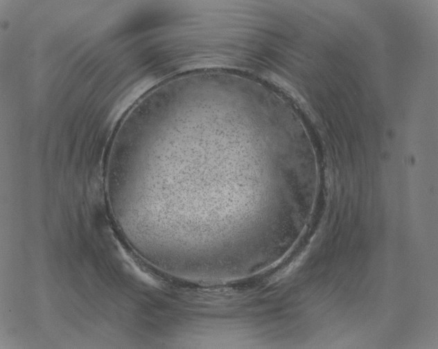 X0000068891129200605122027