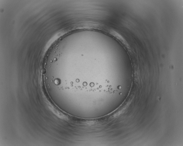 X0000068891130200605122027