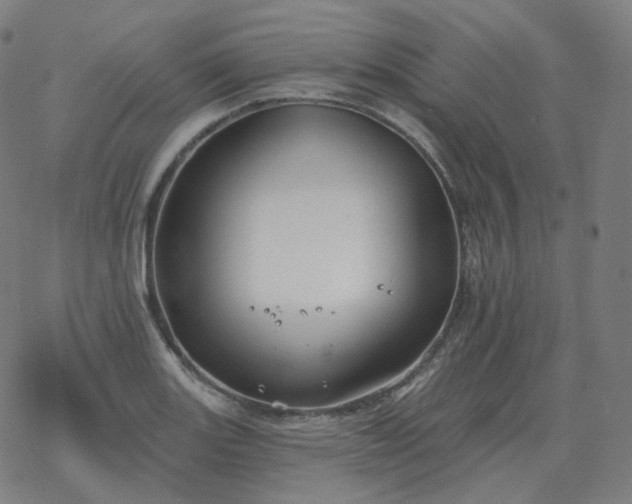 X0000068891131200605122027