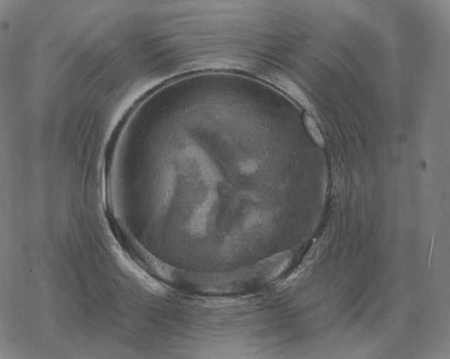 X0000068891132200605122027