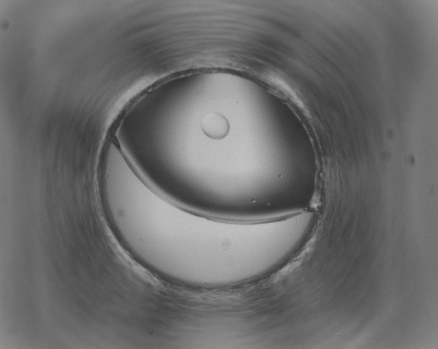 X0000068891133200605122027