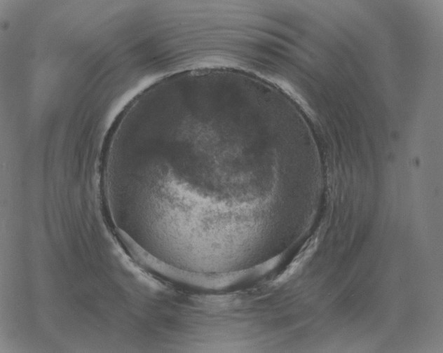 X0000068891134200605122027