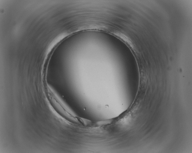 X0000068891135200605122027