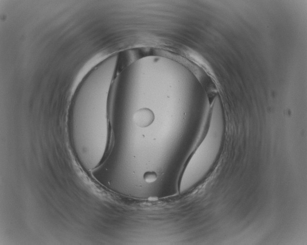 X0000068891138200605122027