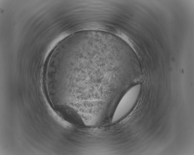 X0000068891139200605122027