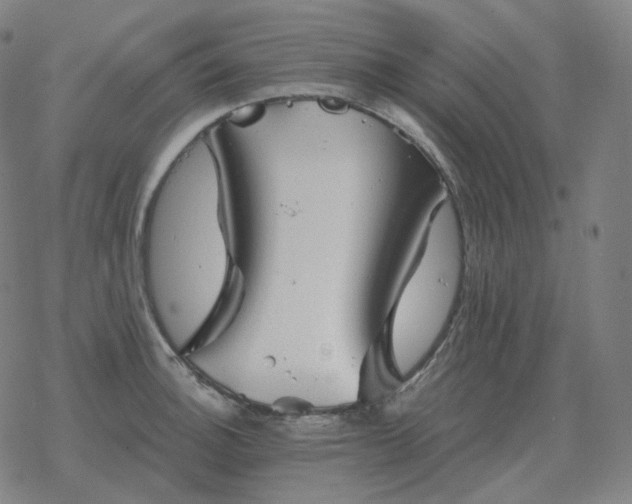 X0000068891140200605122027