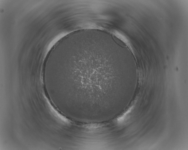 X0000068891141200605122027