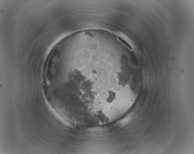 X0000068891142200605122027