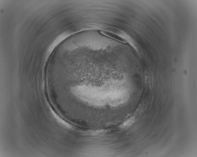 X0000068891143200605122027