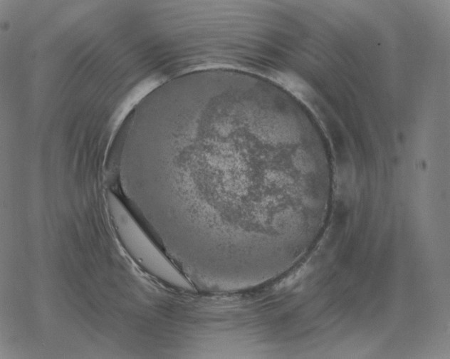 X0000068891145200605122027