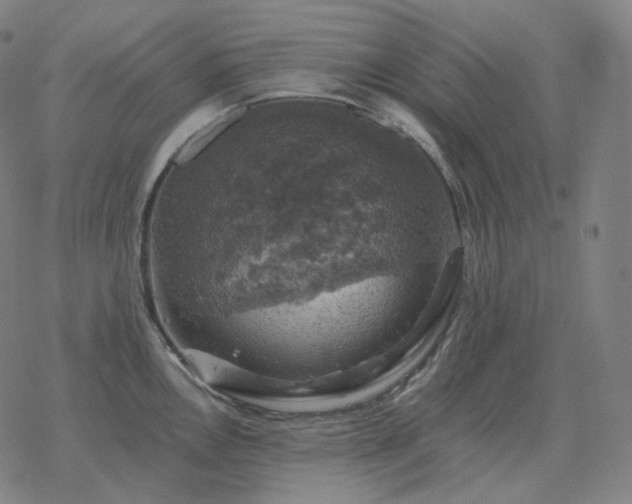 X0000068891146200605122027