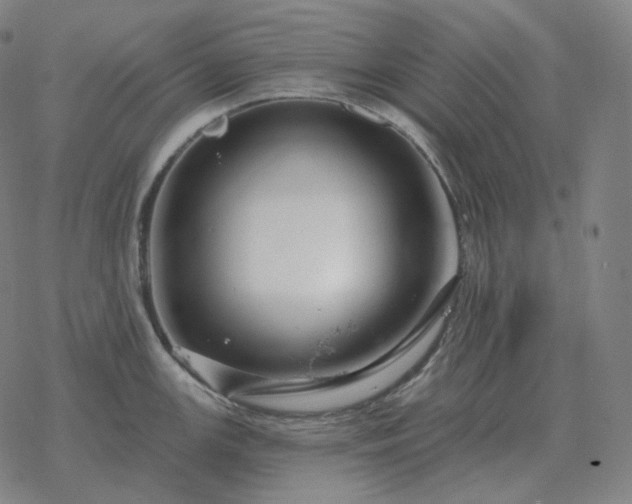 X0000068891147200605122027