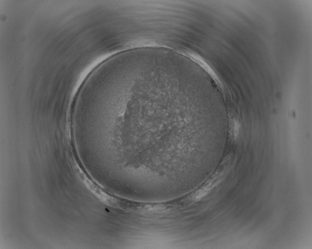 X0000068891148200605122027