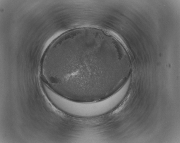 X0000068891149200605122027