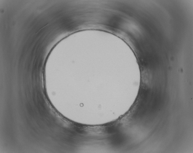 X0000068891150200605122027