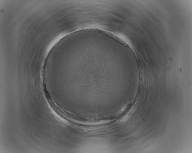 X0000068891151200605122027