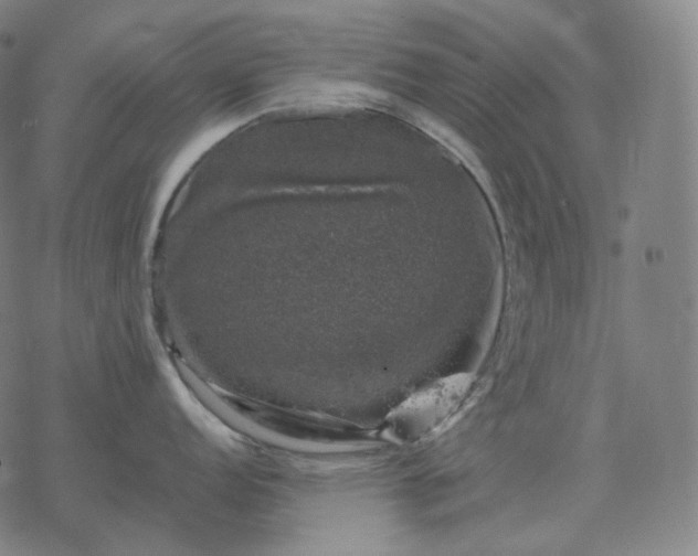 X0000068891152200605122027