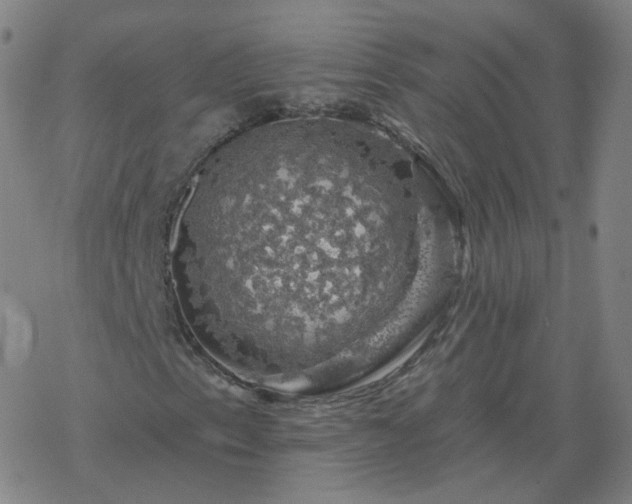 X0000068891153200605122026