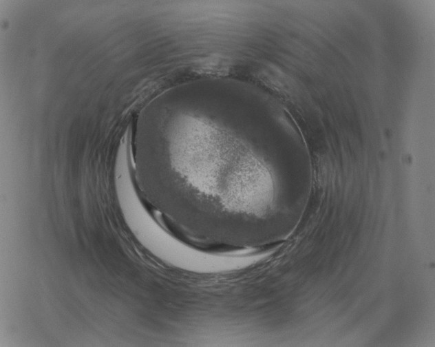 X0000068891154200605122026